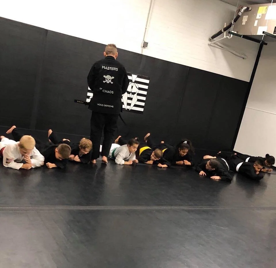 Rogue Martial Arts facility image