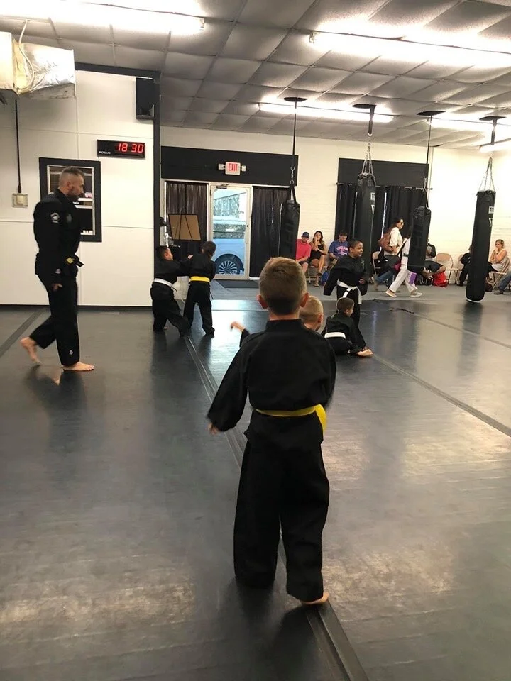 Rogue Martial Arts facility image