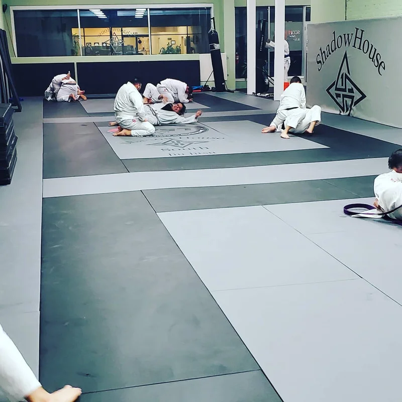 ShadowHouse South Jiu Jitsu facility image
