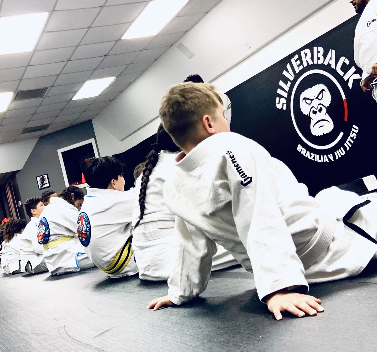 SILVERBACK BJJ facility image