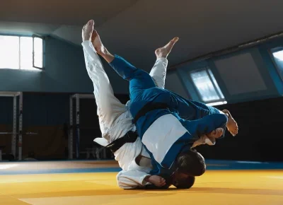 Sloth BJJ visual