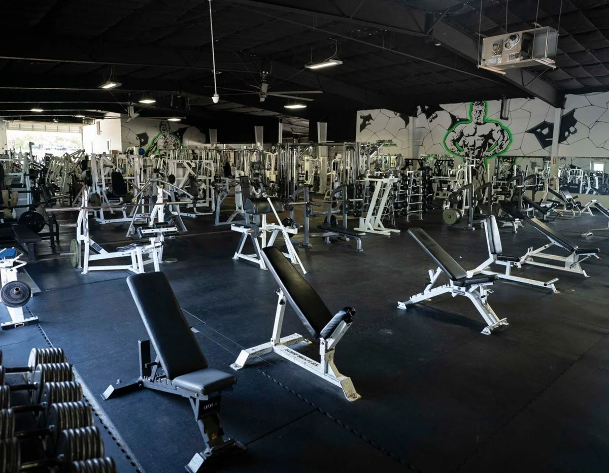 Species Gym academy logo