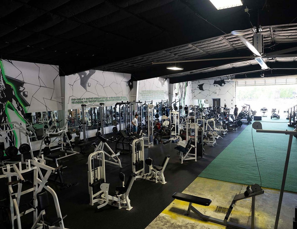 Species Gym facility image