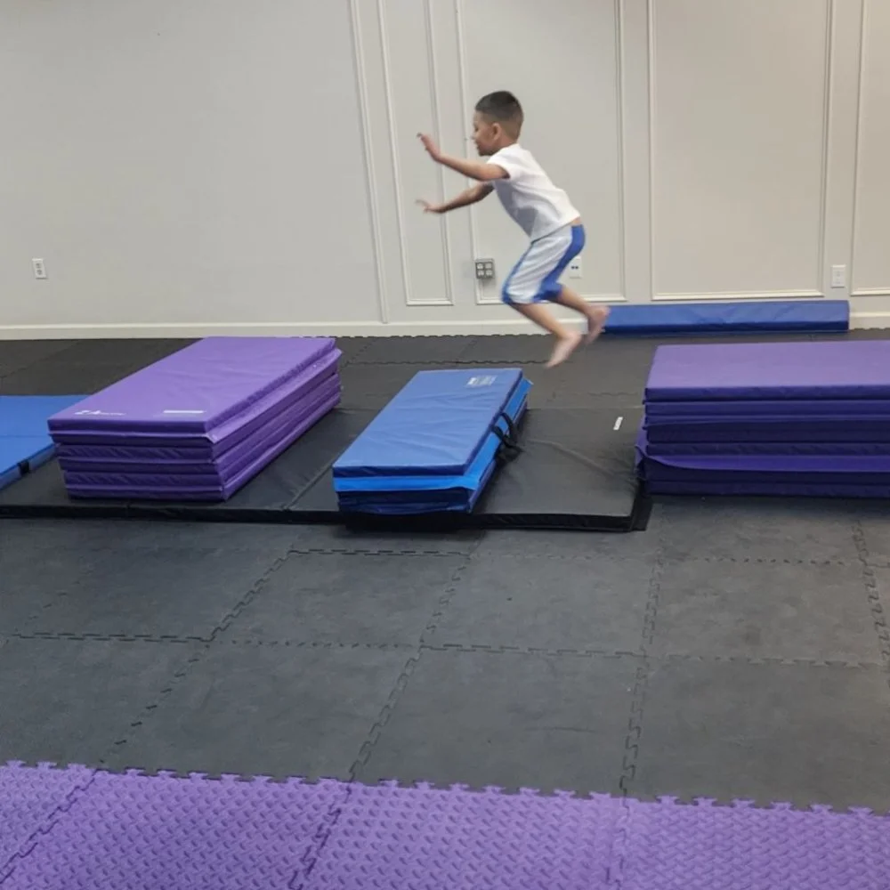 Tactical Advantage Martial Arts facility image