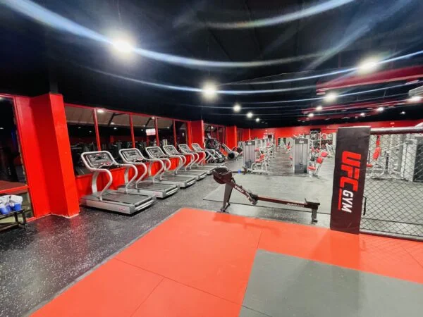 GUEGO BJJ TEAM MCKINNEY TX facility image