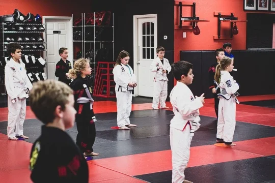 Team Rabadi Brazilian Jiu-Jitsu & Muay Thai academy photo