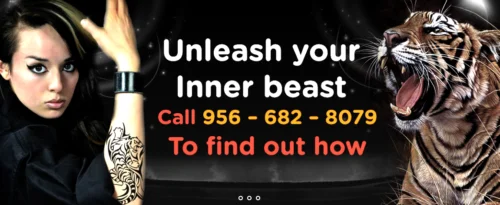 Team Tiger Martial Arts facility image