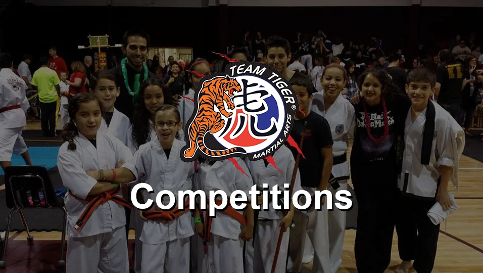 Team Tiger Martial Arts facility image