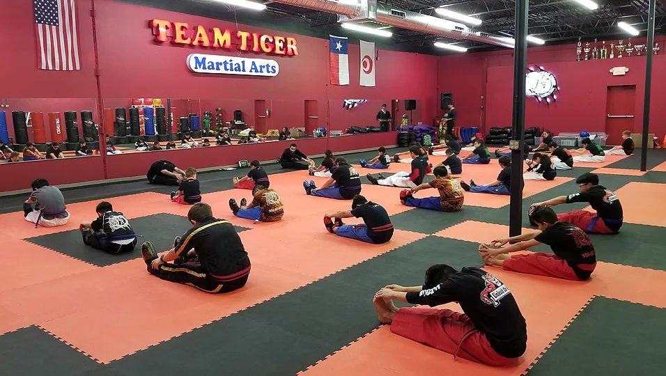 Team Tiger Martial Arts facility image