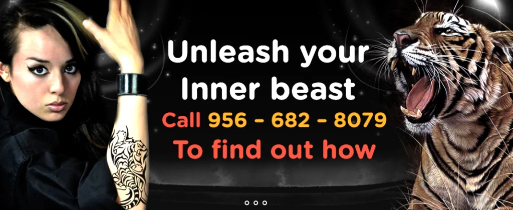 Team Tiger Martial Arts facility image