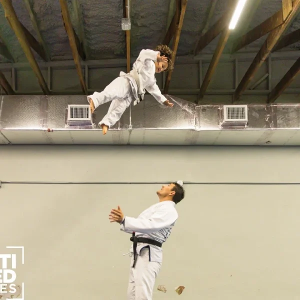 Telos Martial Arts academy photo
