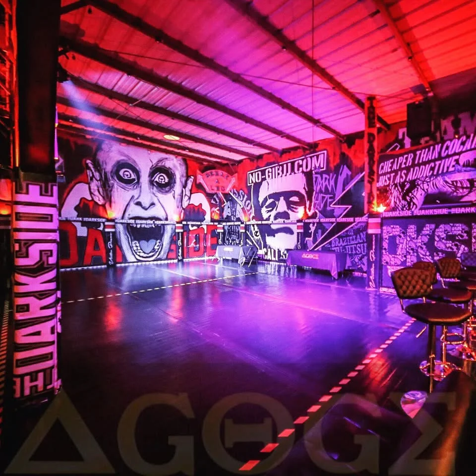 The Darkside academy logo
