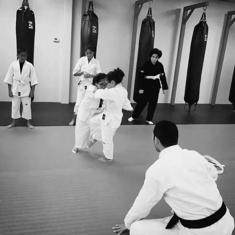 The Jiu Jitsu Order facility image