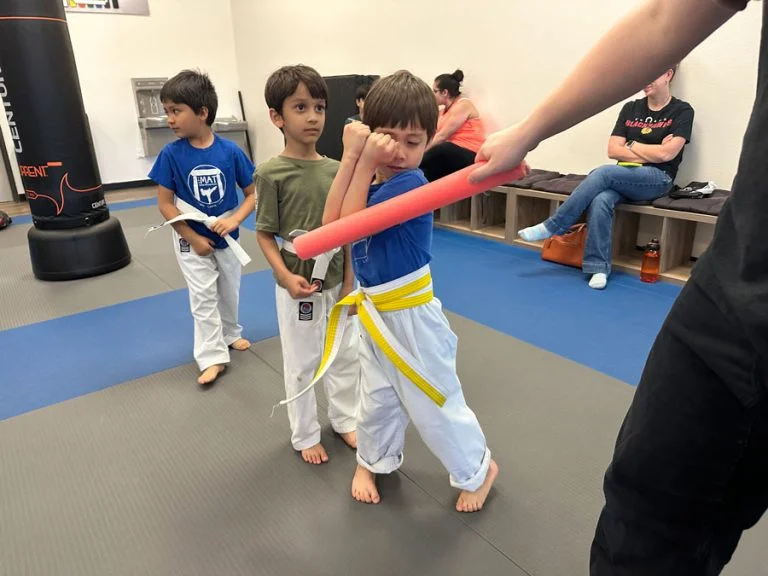The Mat Martial Arts & Fitness facility image