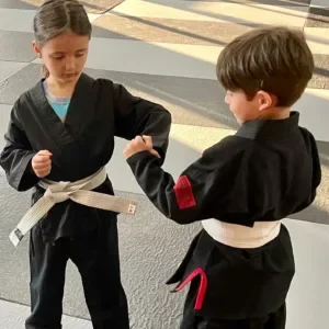 The Void Martial Arts facility image