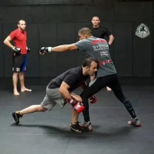 The Void Martial Arts facility image