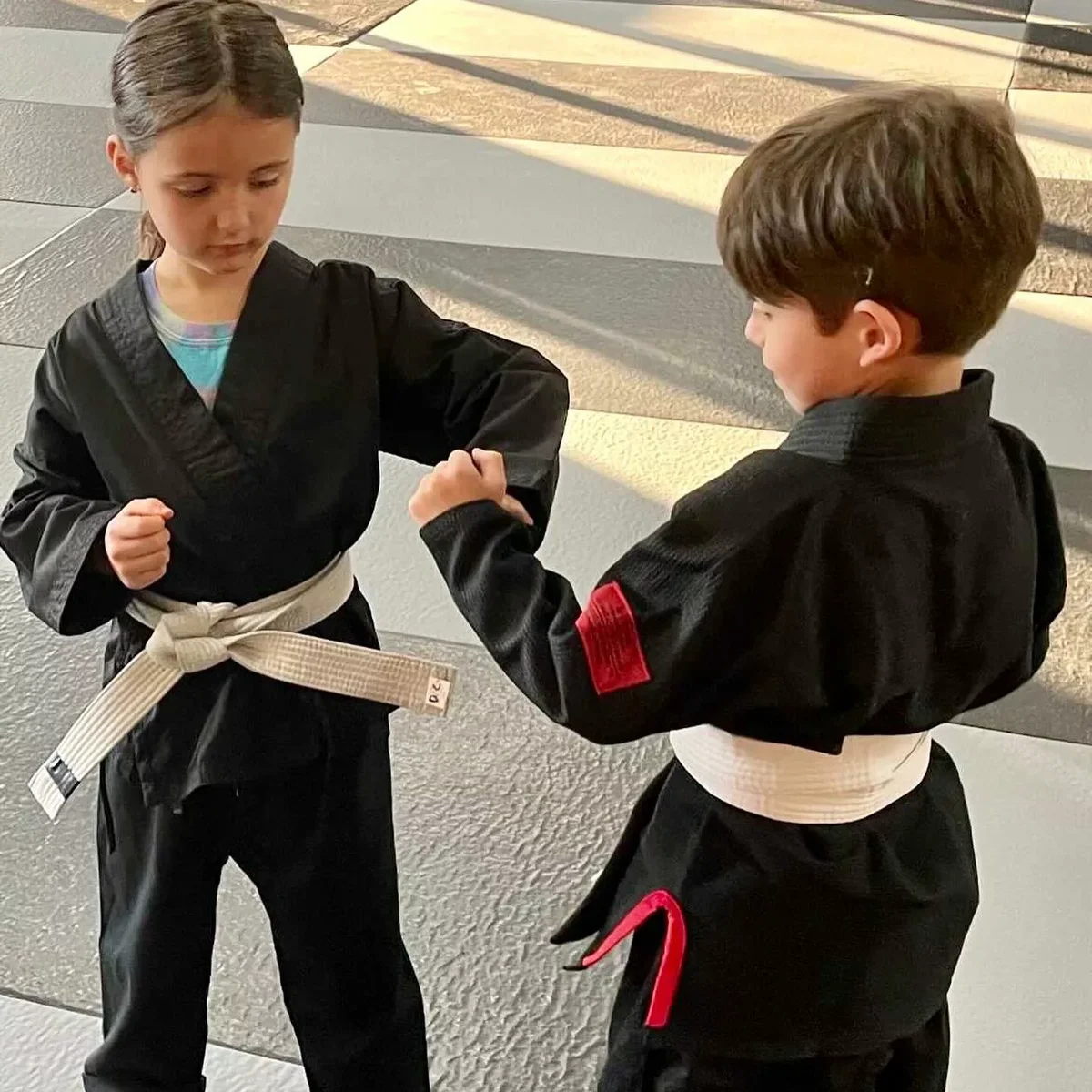 The Void Martial Arts facility image