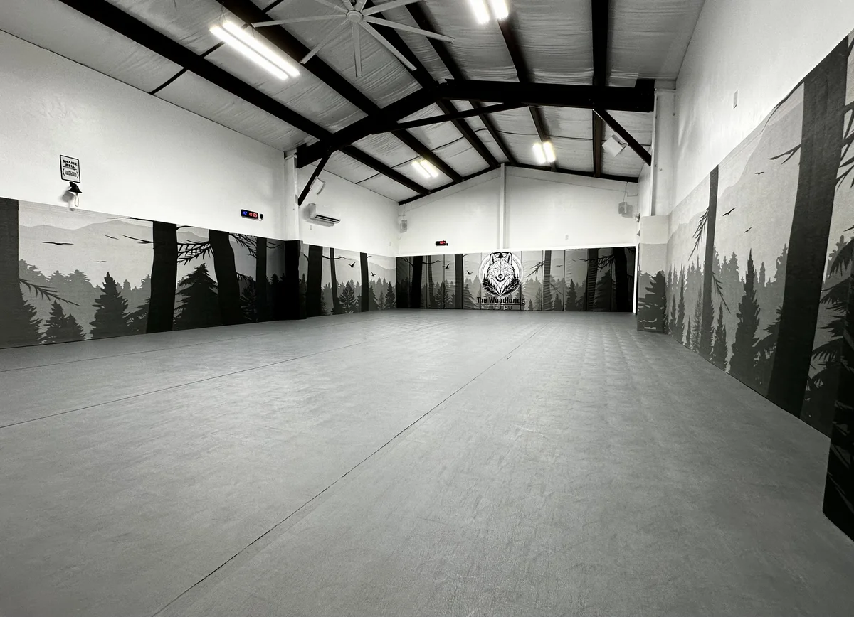 The Woodlands Dojo visual