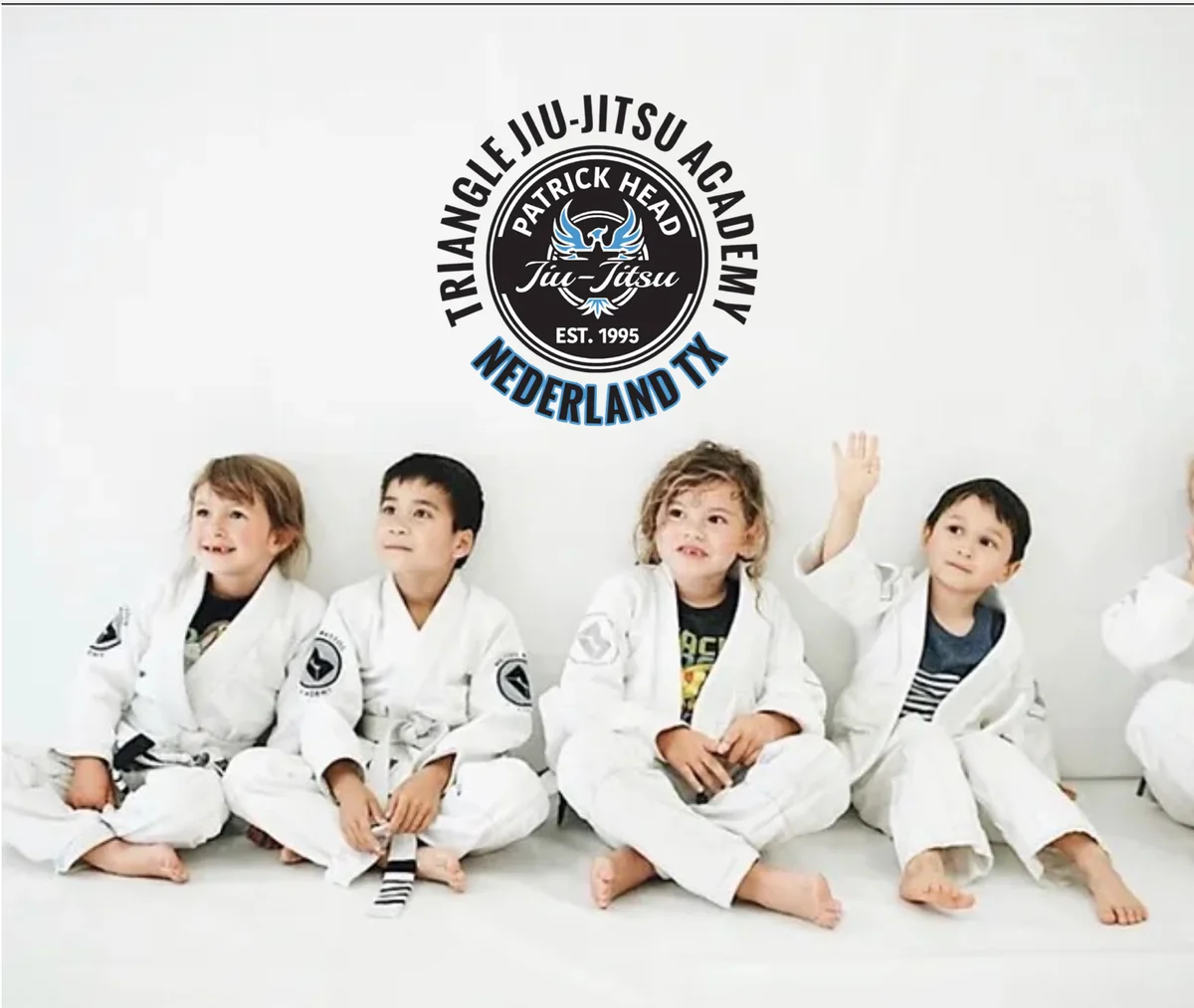 Triangle Jiu Jitsu Nederland facility image