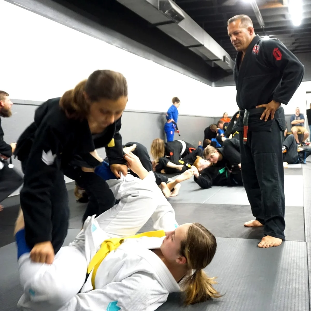 Triangle Jiu Jitsu Nederland facility image