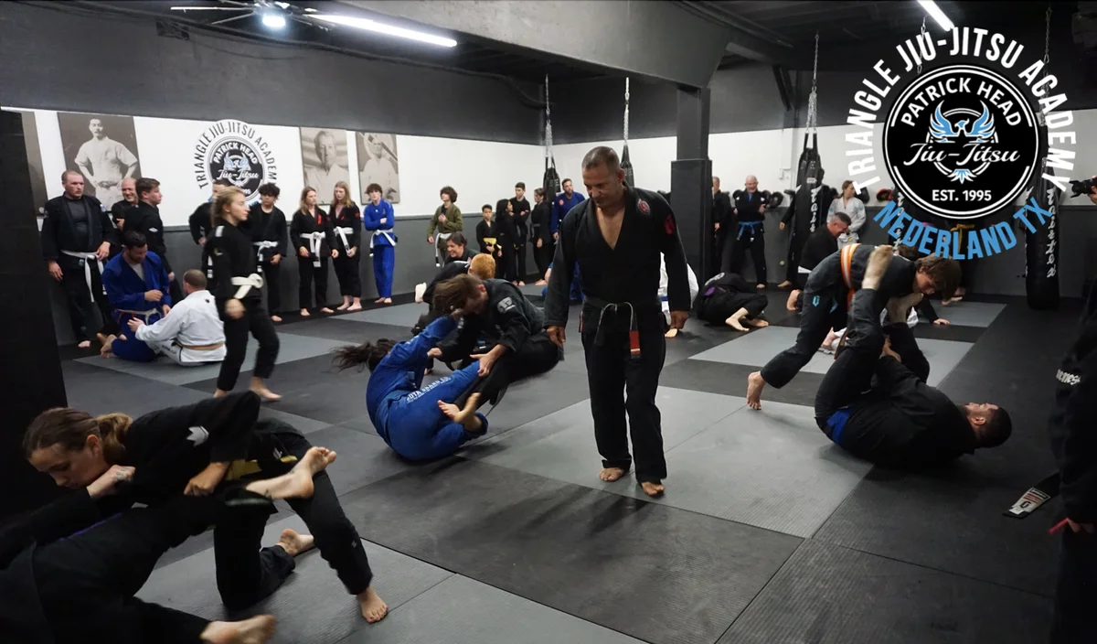 Triangle Jiu Jitsu Nederland facility image