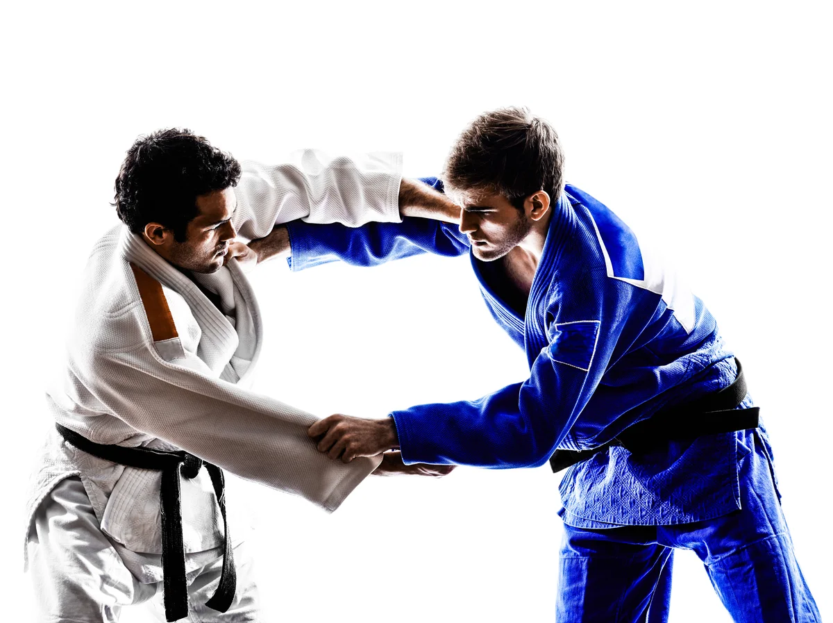 Triangle Jiu Jitsu Nederland facility image