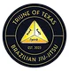 Triune Of Texas BJJ visual