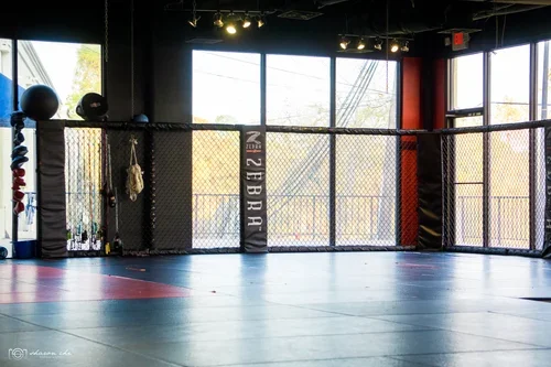 TX 3RD COAST MMA academy photo