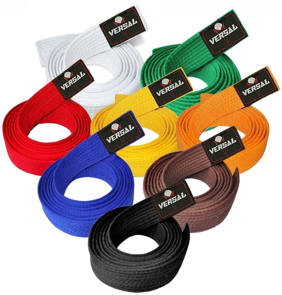 Cedar Hill Martial Arts Academy facility image