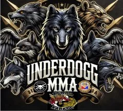 Underdog MMA facility image