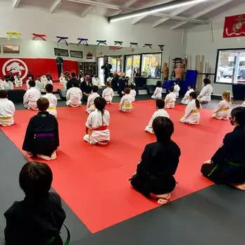 United Studios of Self Defense (USSD) academy photo