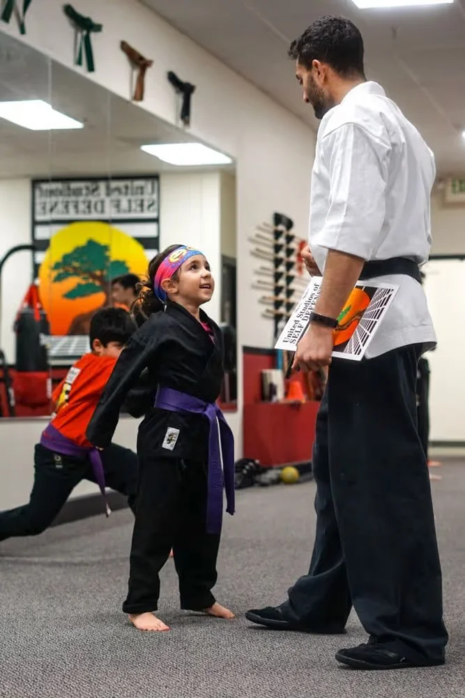 United Studios of Self Defense (USSD) academy photo