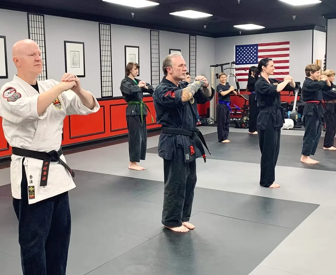 United Studios of Self Defense (USSD) academy photo