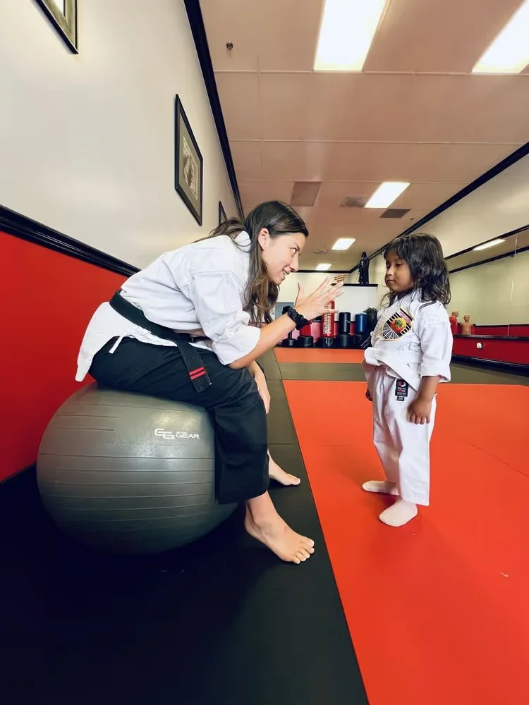 United Studios of Self Defense (USSD) academy photo
