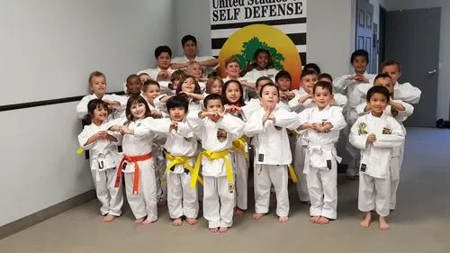 United Studios of Self Defense (USSD) academy photo