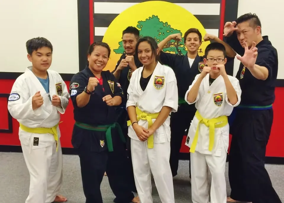 United Studios of Self Defense (USSD) academy photo