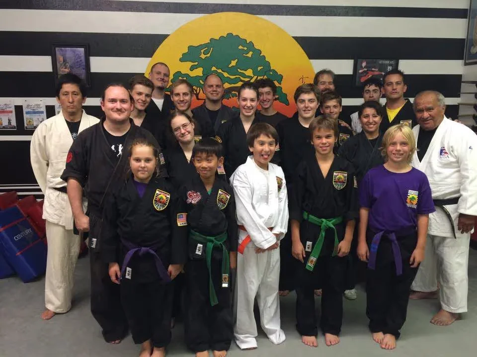 United Studios of Self Defense (USSD) academy photo