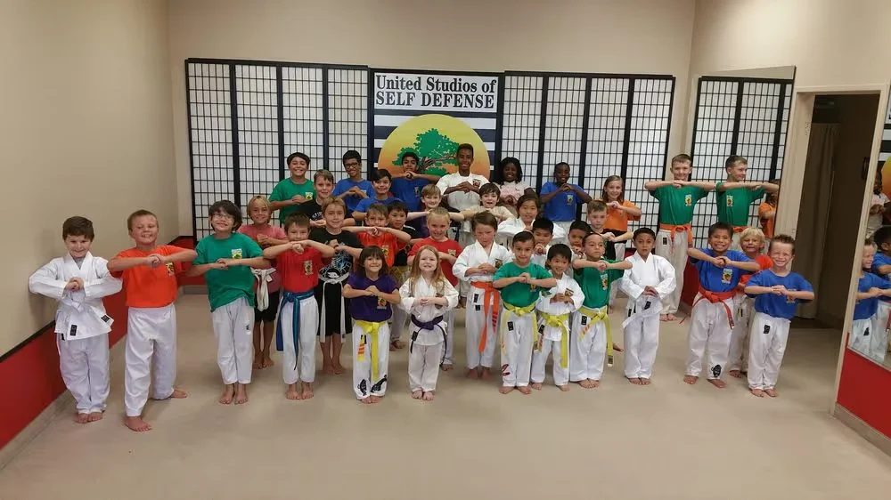 United Studios of Self Defense (USSD) academy photo