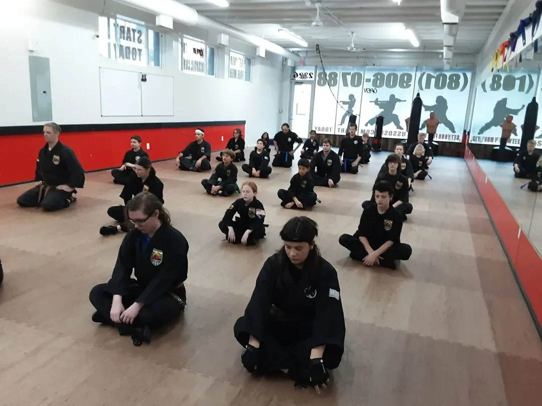 United Studios of Self Defense (USSD) academy photo