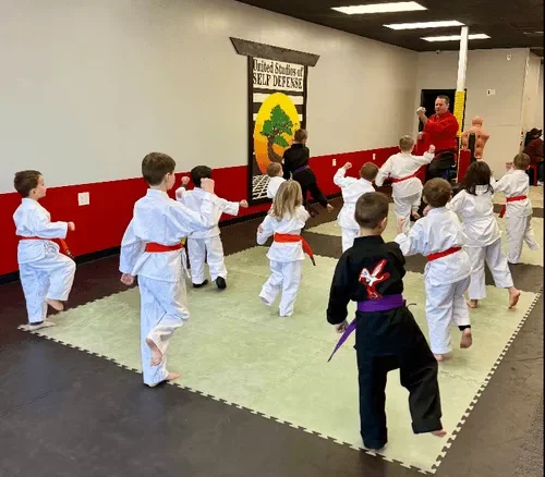 United Studios of Self Defense (USSD) academy photo