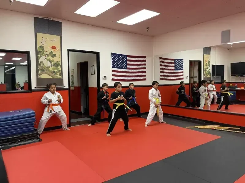United Studios of Self Defense (USSD) academy photo