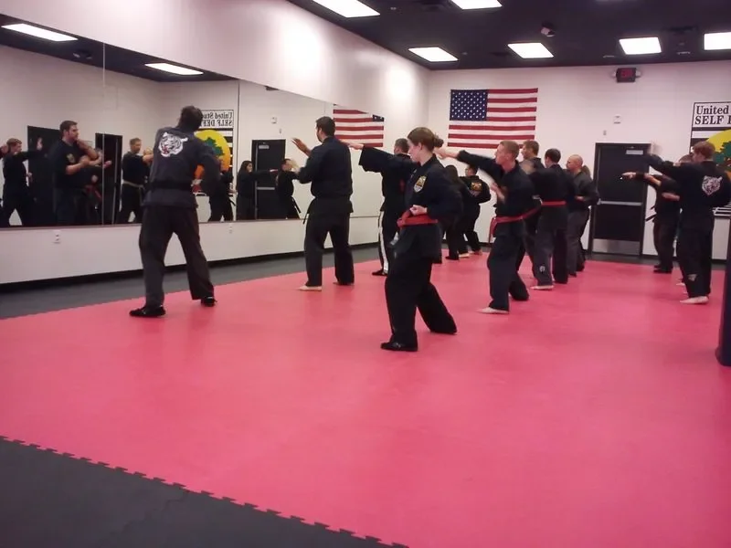 United Studios of Self Defense (USSD) academy photo