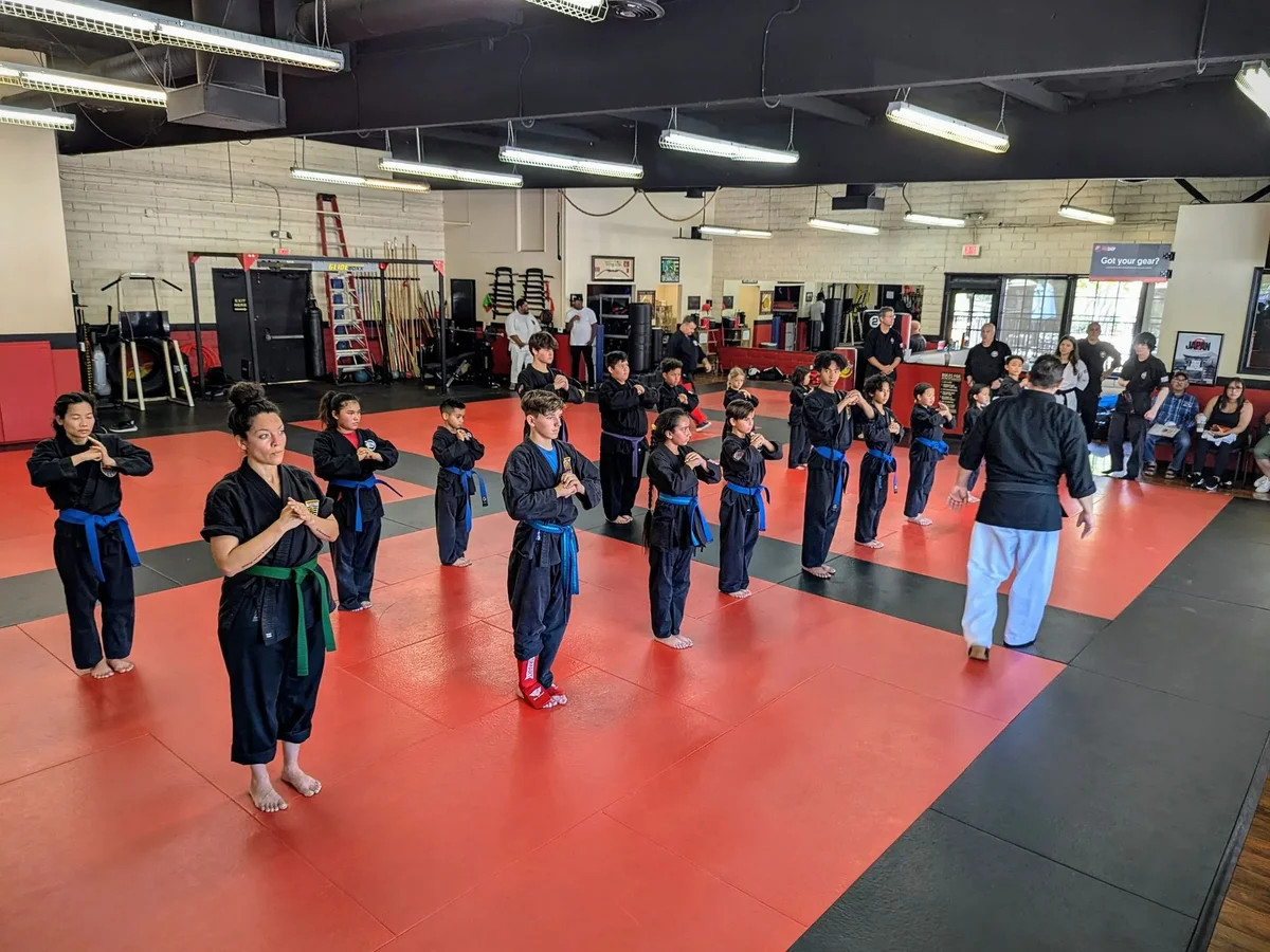 United Studios of Self Defense (USSD) academy photo