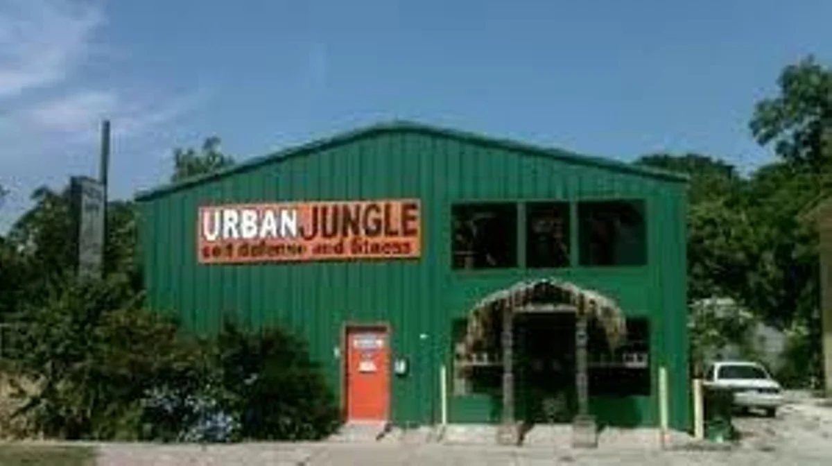 Urban Jungle Self Defense facility image
