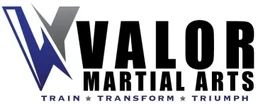 VALOR Martial Arts Georgetown academy logo