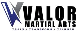 VALOR Martial Arts Georgetown facility image