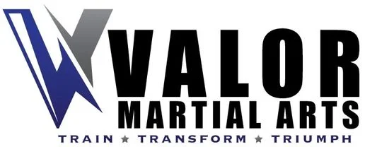 VALOR Martial Arts Georgetown facility image