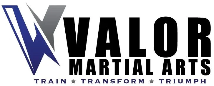 VALOR Martial Arts Georgetown facility image