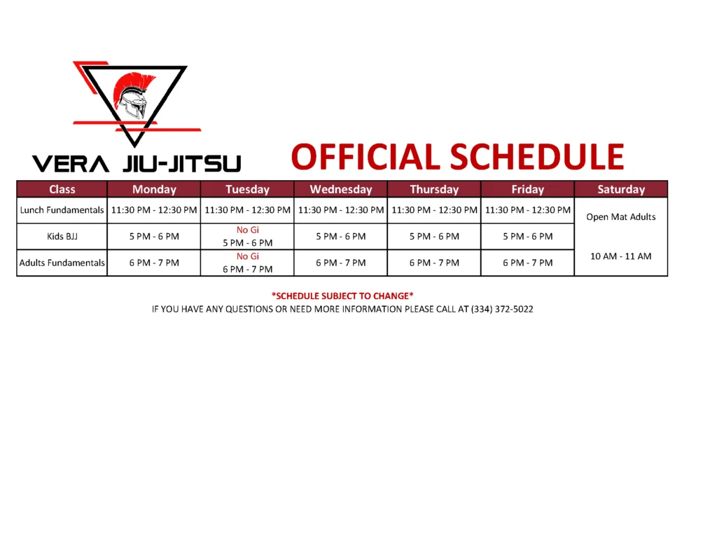 Vera Jiu Jitsu academy photo