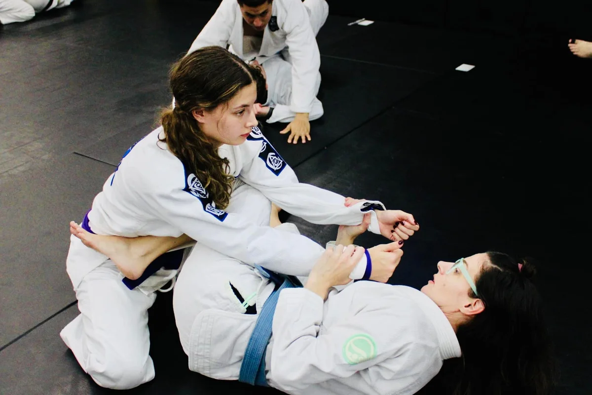 Virtues Jiu-Jitsu Self Defense academy photo